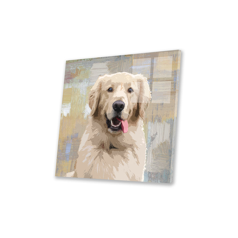 Golden Retriever, reproduction sur verre acrylique, H 24 po x l 24 po x P 0,25 po