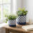 Jamesjoseph Stoneware Ceramic Planters with Saucers - Durable Decorative Pots for Indoor Outdoor Display - Stylish Modern Home Garden Accents - Set of 2-439641391