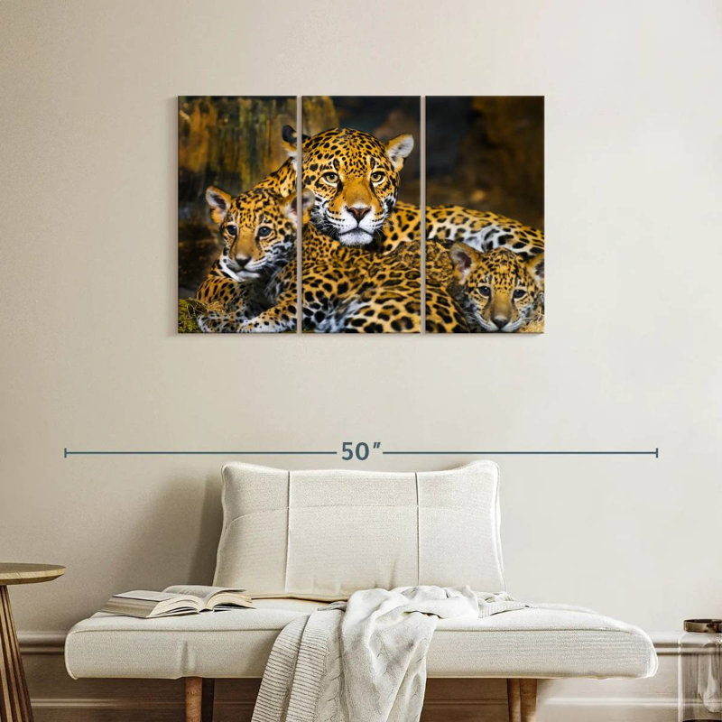Bébé Jaguar, H 24 po x l 38 po
