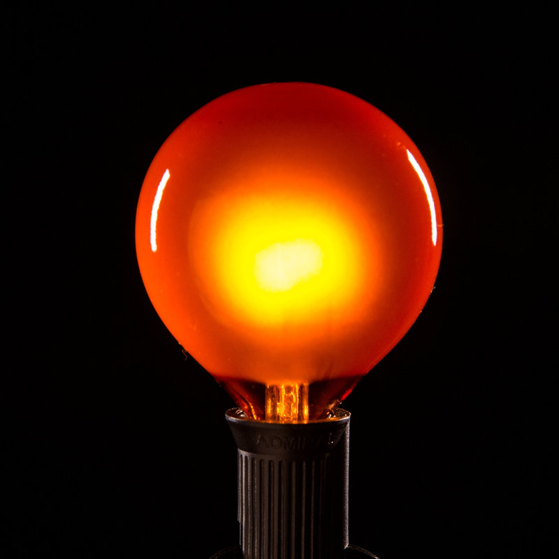 Outdoor 100 - Bulb 100'' Plug-in Globe String Light, Black