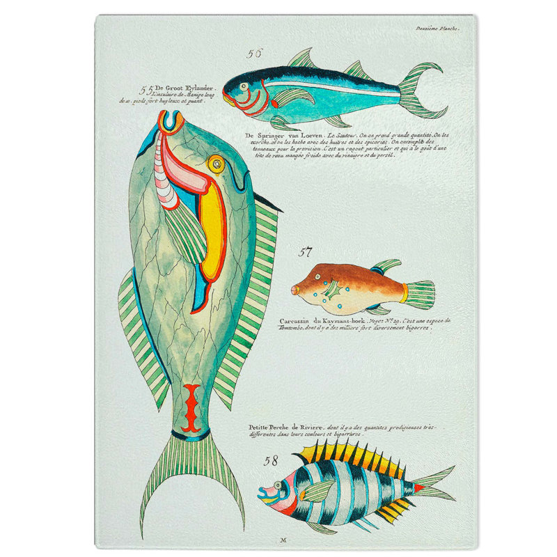 Glass East indies Fish Illustrations Douzieme by Louis Renard Chopping Board, 39 cm W x 28.5 cm L