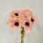 Rose est en rupture de stock