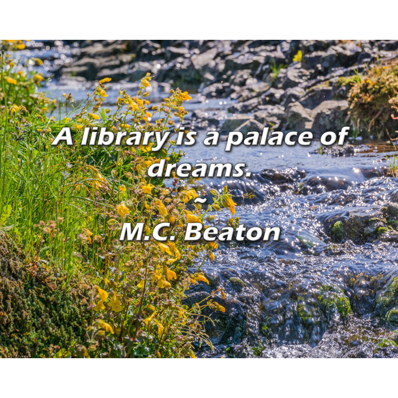 M.C. Beaton Citation: Une bibliothèque est un palais de rêves., H 26 po x l 32 po