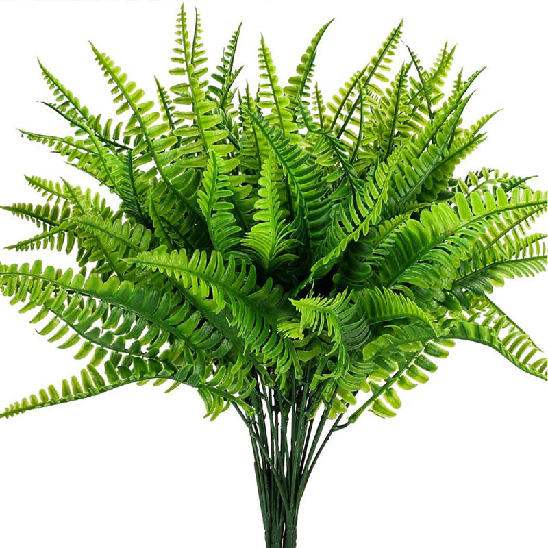Fern Arrangement