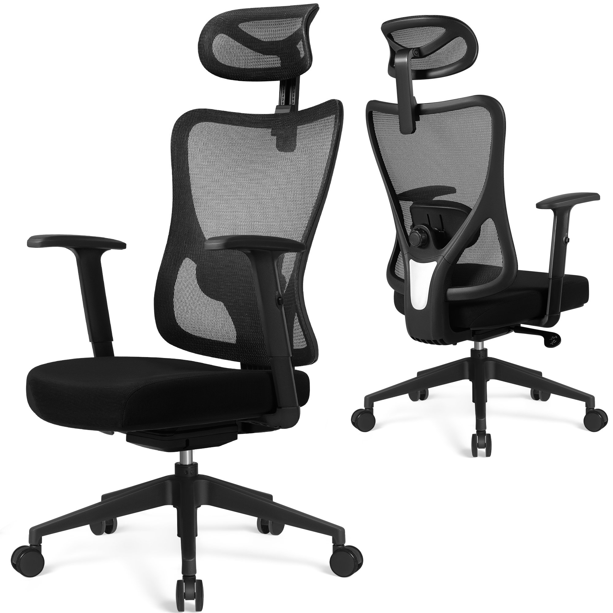 https://assets.wfcdn.com/im/01740193/compr-r85/2571/257131738/letarsha-300lbs-ergonomic-mesh-office-chair-with-adjustable-lumbar-support.jpg