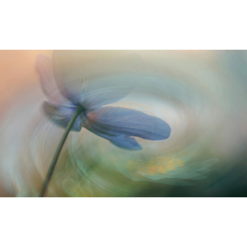 1 Piece Wrapped Canvas Wall Art