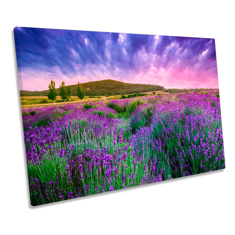Summer Lavender Field Sunset - Wrapped Canvas Art Prints, 30.5cm H x 45.7cm W