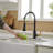 VIBRANTBATH Kitchen Faucet-3331662