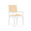 Arm Chair-1272904095