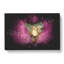 Clownfish & Sea Anemone - Wrapped Canvas-56666271