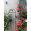 Treillis de jardin en métal