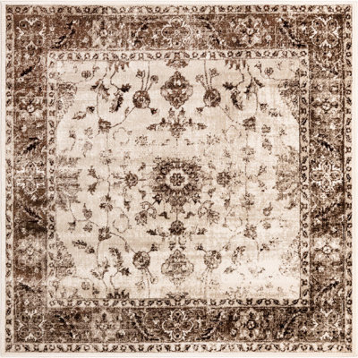 Emigdio Oriental Indoor Rug