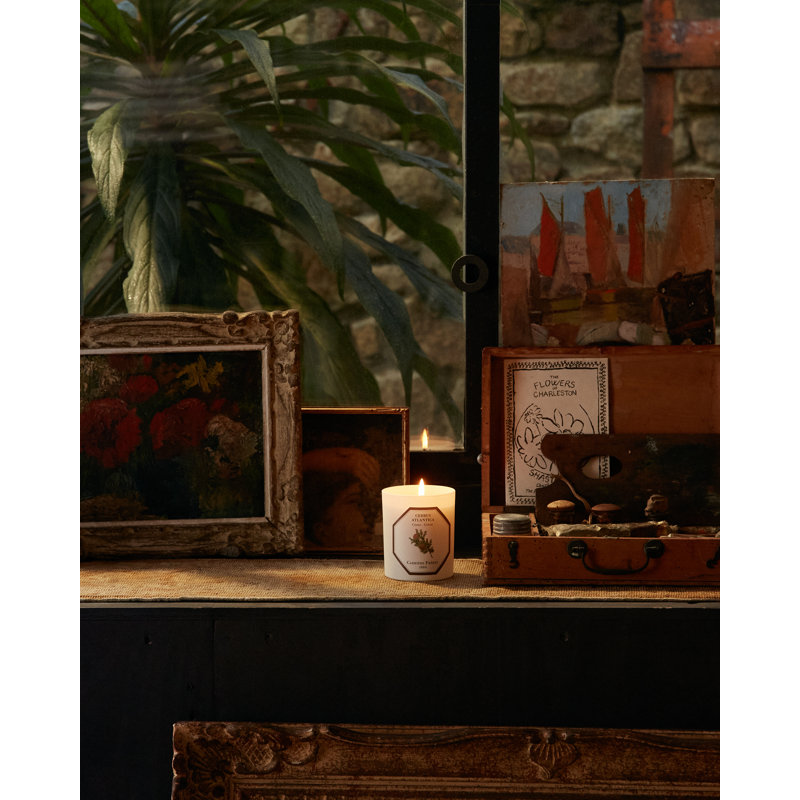 Cedar Candle