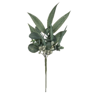 Choix d'eucalyptus Kannon California
