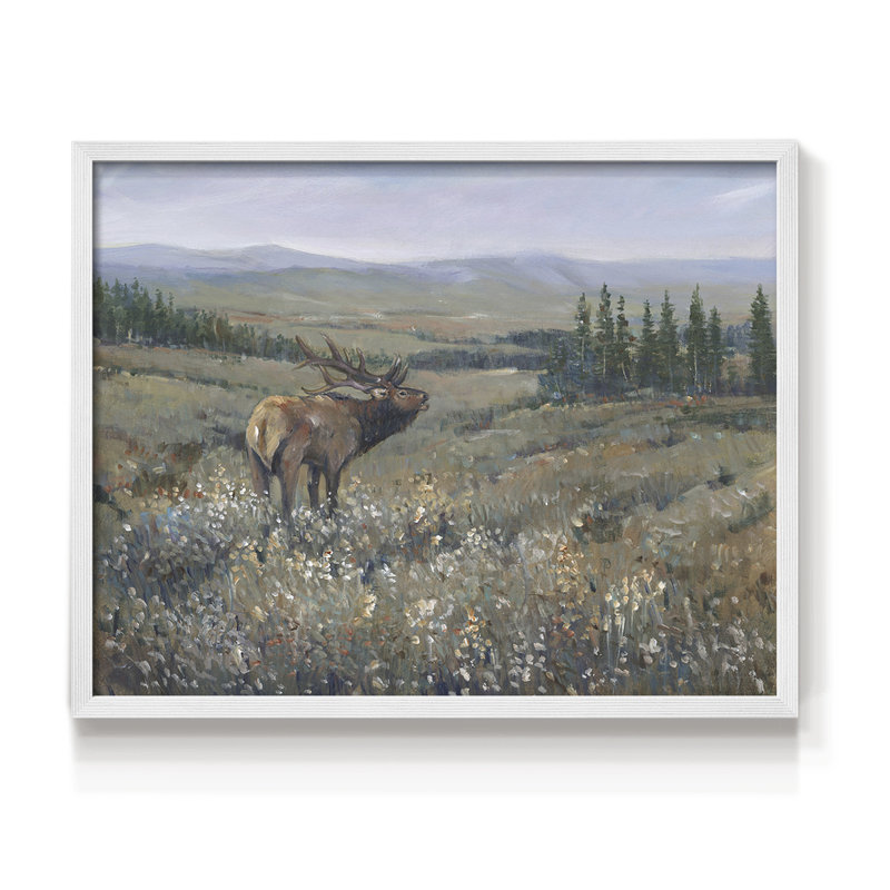 Faune de l'Ouest I - reproduction encadrée - réaménageable