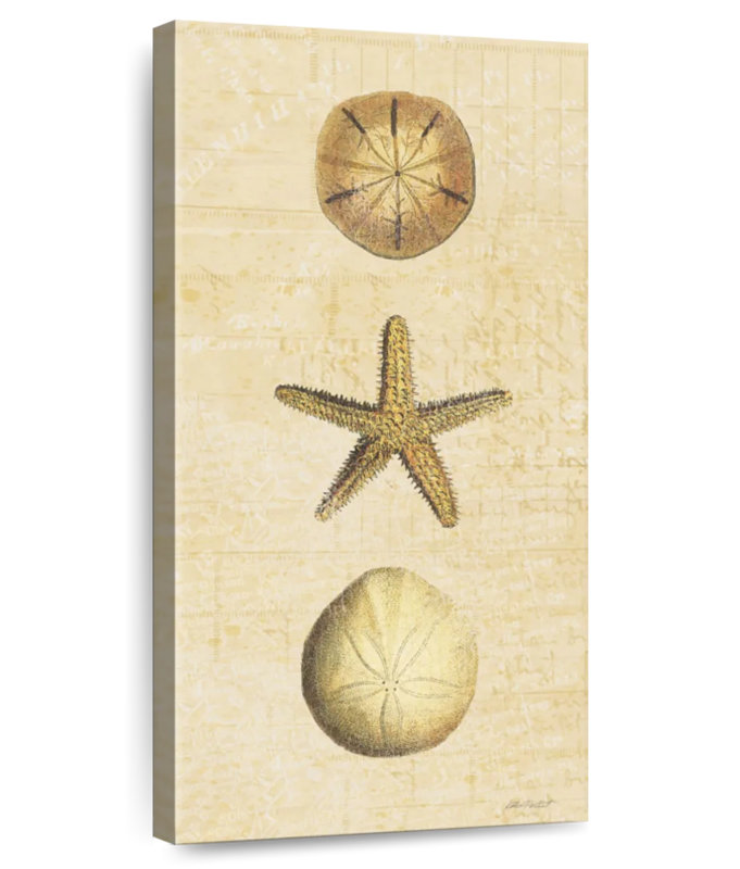 Coquillages au bord de mer, H 24 po x l 12 po