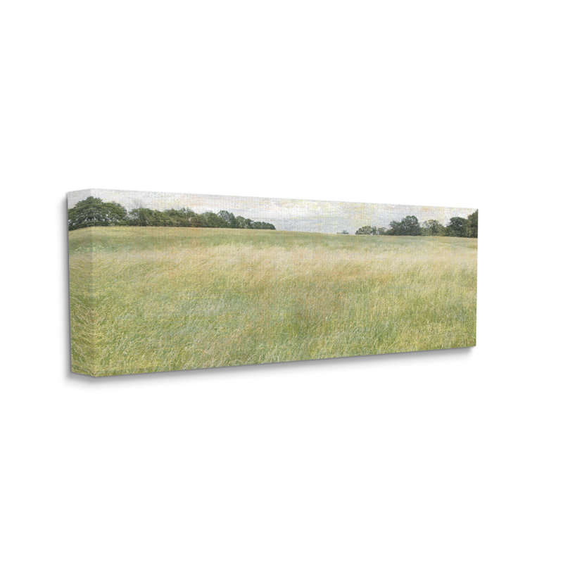 Vaste champ de prairies champêtre, art giclée par Erin Clark, H 13 po x l 30 po x P 1,5 po, Giclée encadrée noir minuit