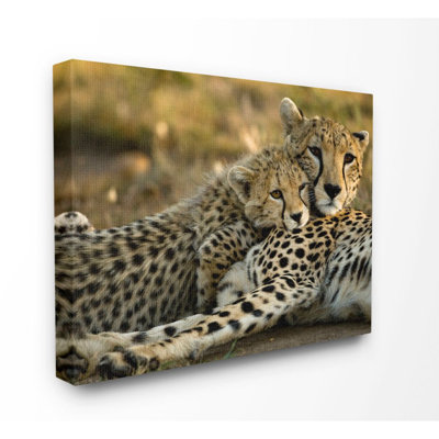 «Cheetah Family Mother With Cub» par Joe Mcdonald / © Danitadelimont.Com - reproduction de photo