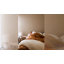 Édredon en duvet de coton biologique toutes saisons Puredown-87748962-87748957