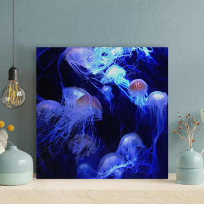 White Jellyfish - 1 pièce, reproduction d'impression sur toile tendue