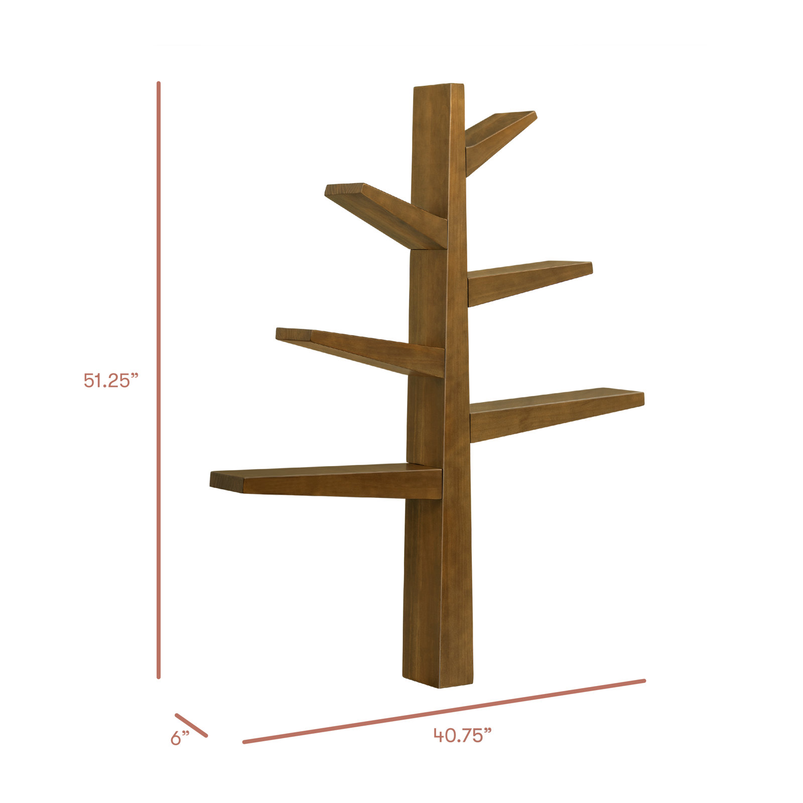 Spruce Tree Bookcase, Natural Walnut