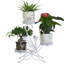 Bonelli Plant Stand-757976537