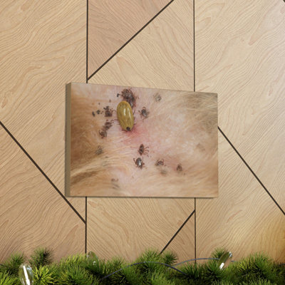 No Frame Print on Canvas