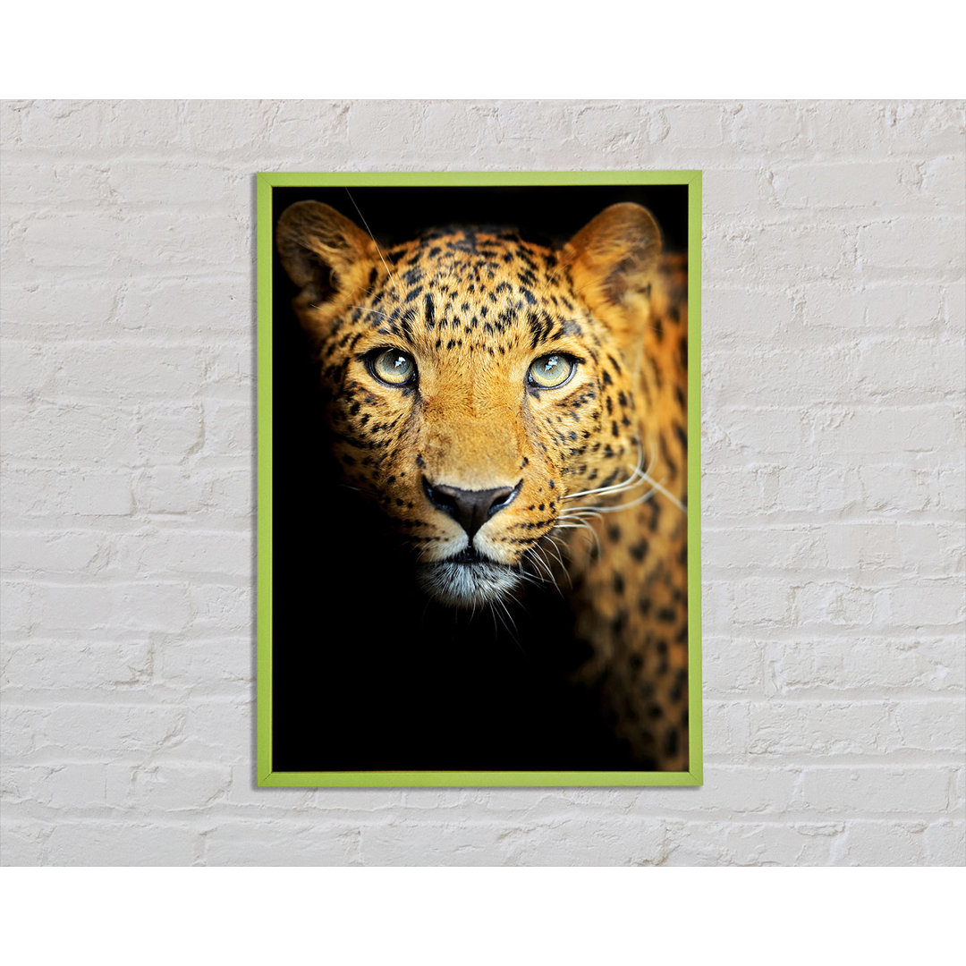 Anindita Leopard Beauty - Einzelner Bilderrahmen Kunstdrucke