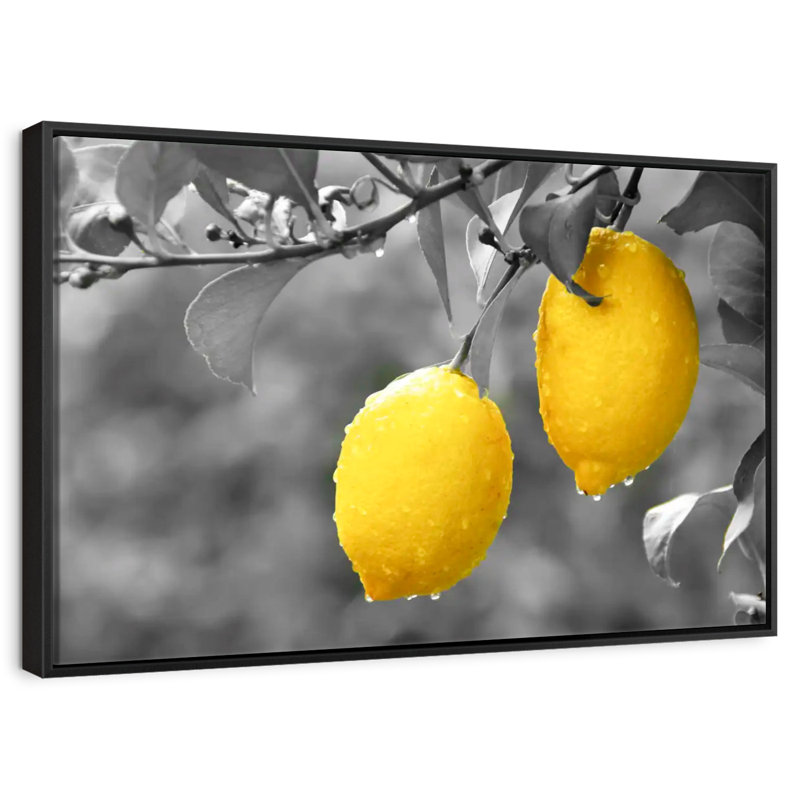 Yarlin Lemons Pop, 25" H x 37" W