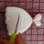 Outil de décoration de gâteau fondant en acier inoxydable
