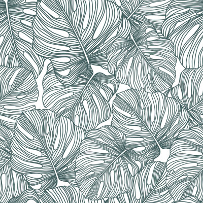 Feuille botanique