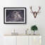 Lion in the Mist - Picture Frame Graphic Art Print-56859920-56859921
