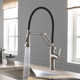 Engel Single Handle Pull Down Kitchen Faucet