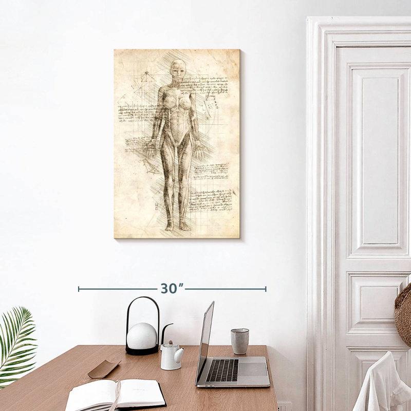 Anatomie féminine Keiri, H 30 po x l 20 po