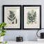 Collection Ferns VI - Cadre photo, reproduction d'art sur papier-1190667019-1190667015