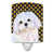 Bichon maltais de face