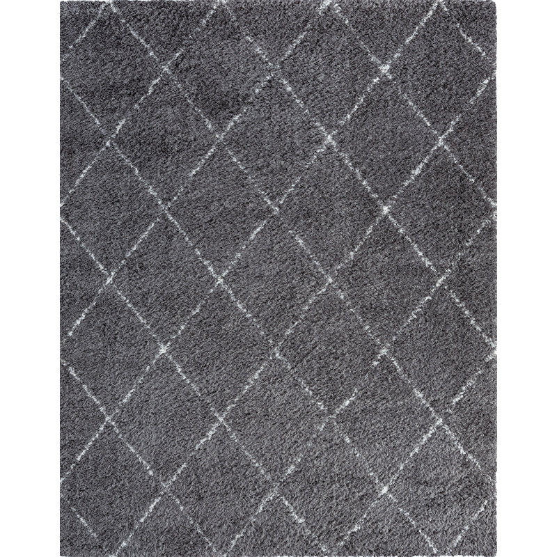 Tapis à poil long gris foncé Khristen Performance, Rectangle de 2 pi x 3 pi