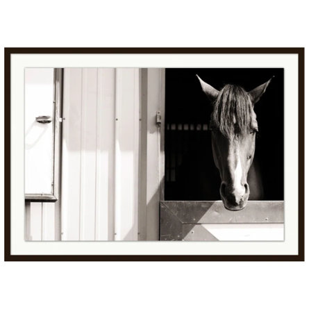 Wendover Art Group
Happy Horse Print by Lillian August