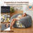  Velvet Memory Foam Bean Bag Chair Lounger for Adults and Kids, Oversized Comfy Floor Sofa Seating, Ergonomic Upholstered Accent Furniture for Living Room and Bedroom, Gray-591199549