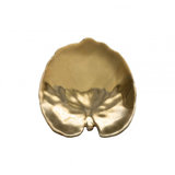 Riviera Alchemille Leaf, Or