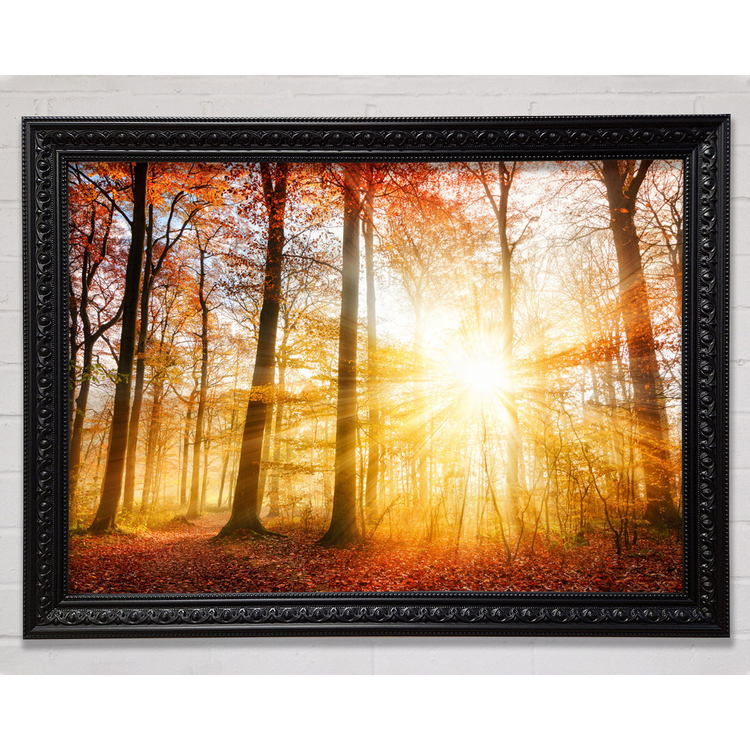 Great British Autumn Woodland Gerahmter Druck