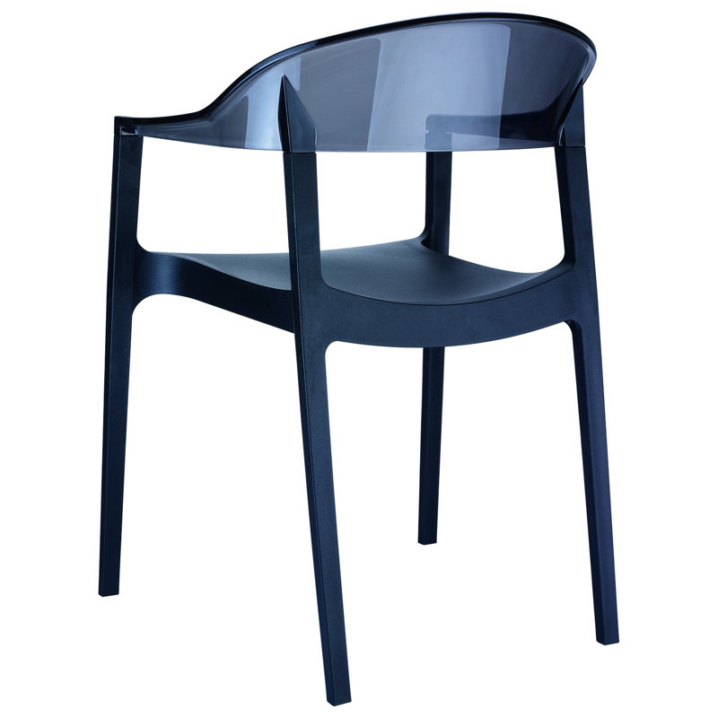 Fauteuil de salle à manger Stella, Noir / noir transparent