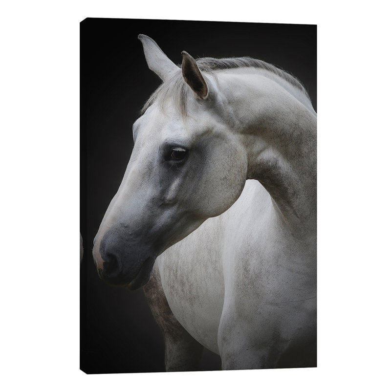 Maggie by Avishai Avivi - Floater Frame Rectangle Print on Canvas, 20.32 cm H x 30.48 cm W, Wrapped Canvas