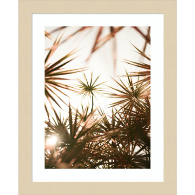 Daisey "Starlight Through Palms" Print