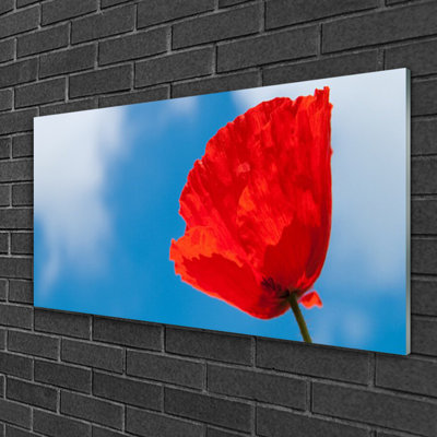 Floral Tulip - Unframed Photograph on Glass