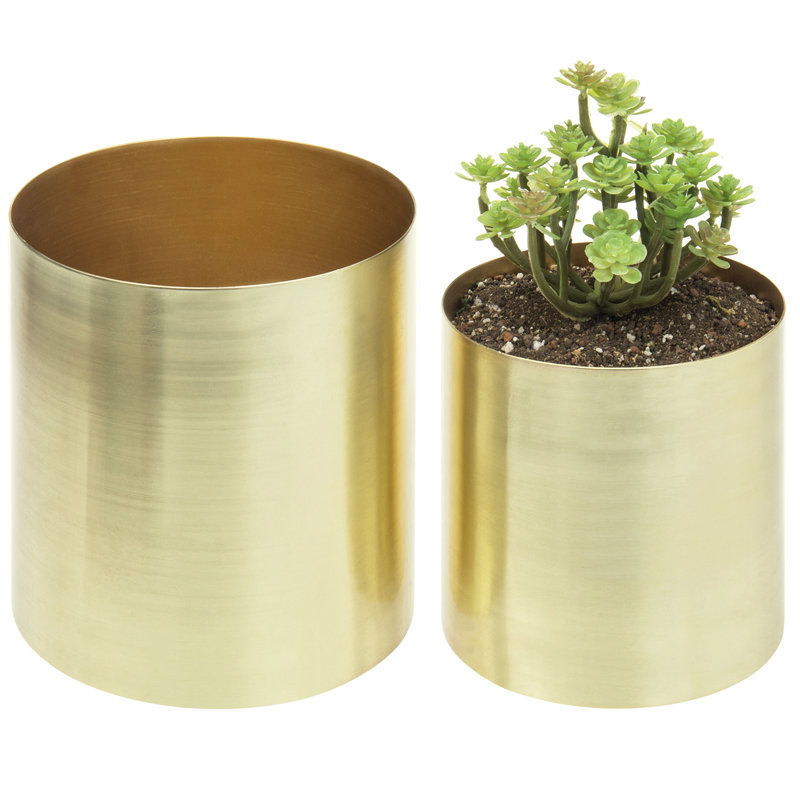 Jaspal Brushed Brass Plated Pot Planter Indoor, Brass