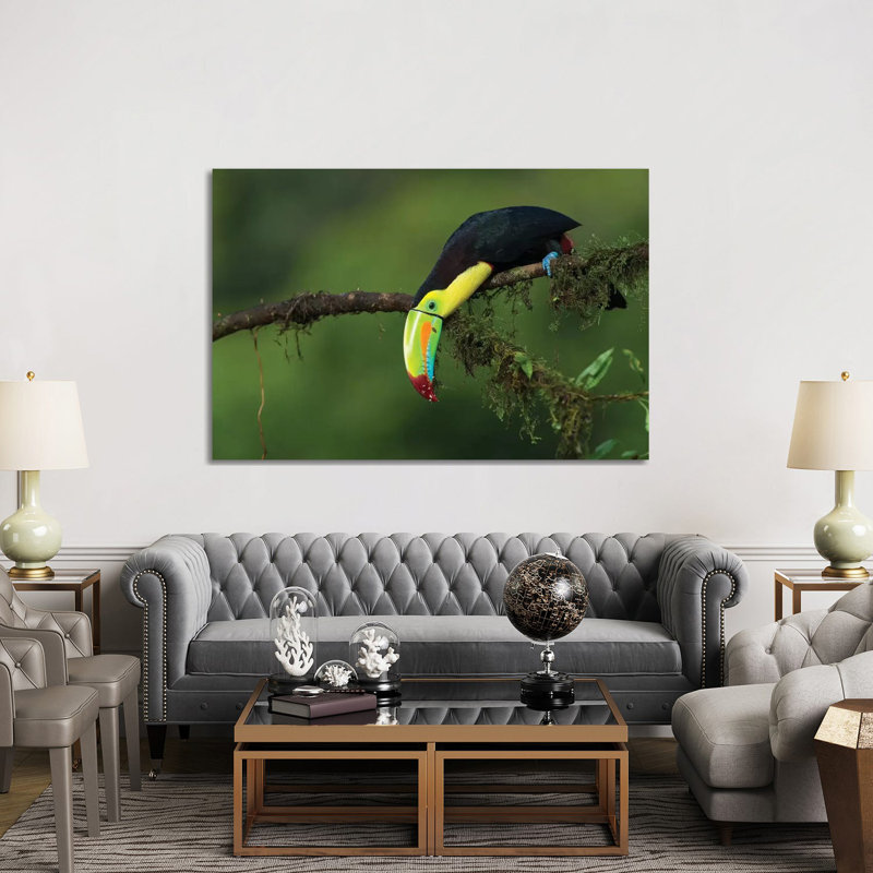 The Colours of Costa Rica 1 Piece Wrapped Canvas Wall Art, 152.5 cm H x 101.5 cm W