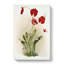 Magnolia Flowers Illustration Tab. 26 by Frederick Sander - Wrapped Canvas-55308838