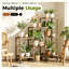 5 Tier Plant Stand