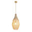 Luminaire suspendu en fer doré 1 lumière Transitional-547088017-547088021